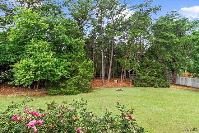 2940 Lake Crest Dr, Tuscaloosa, AL 35406 - view of yard
