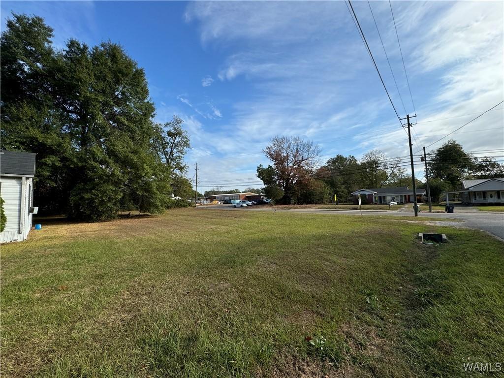 103 7th Ave E, Linden, AL 36748 - view of grassy yard