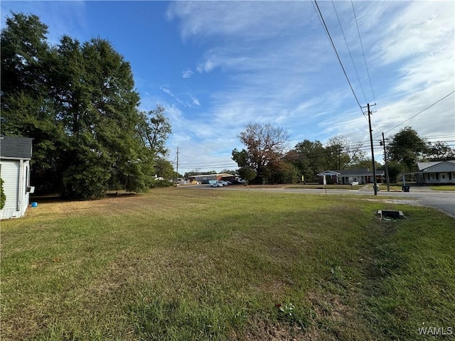103 7th Ave E, Linden, AL 36748 - view of grassy yard