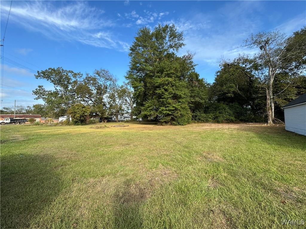 103 7th Ave E, Linden, AL 36748 - view of green lawn