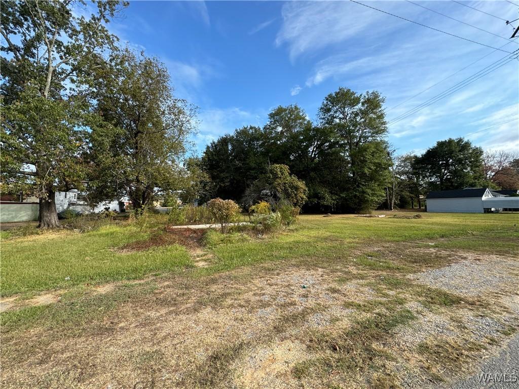 103 7th Ave E, Linden, AL 36748 - view of yard