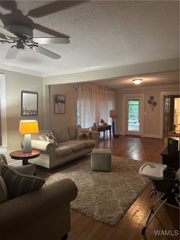 living room with a textured ceiling, dark hardwood / wood-style flooring, ceiling fan, and crown molding