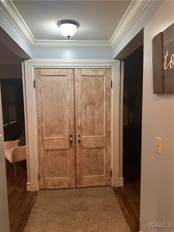 interior space featuring dark hardwood / wood-style floors and crown molding