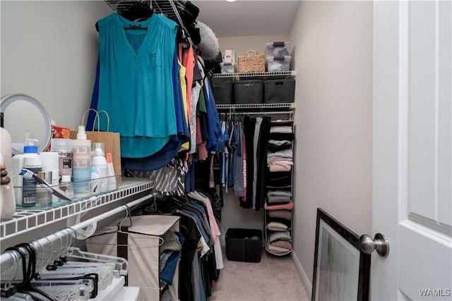 13982 Knoll Pointe Dr, Northport, AL 35475 - spacious closet featuring carpet flooring