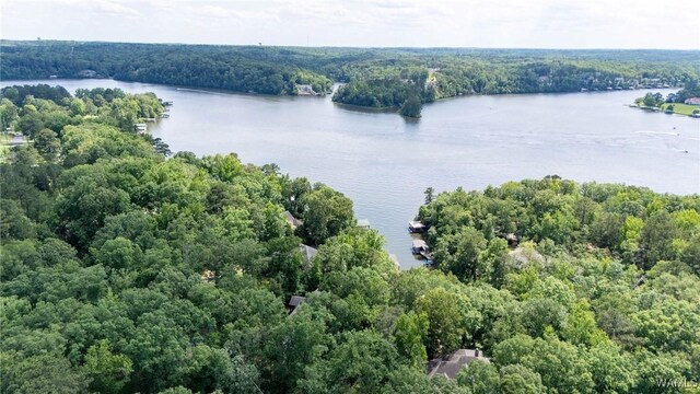 15340 Stonehedge Cliffs Rd, Northport, AL 35475 - photo 43