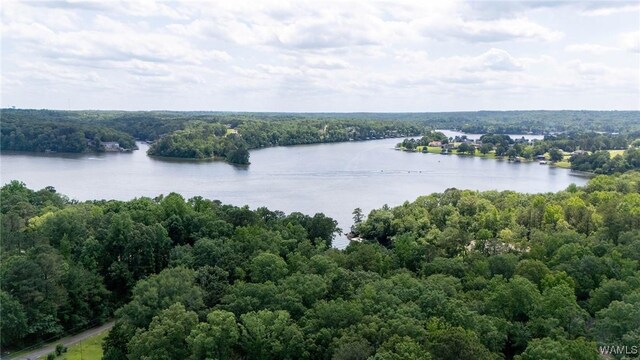 15340 Stonehedge Cliffs Rd, Northport, AL 35475 - photo 44