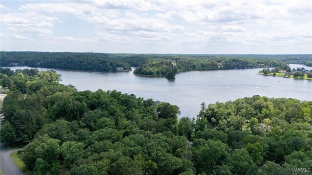 15340 Stonehedge Cliffs Rd, Northport, AL 35475 - photo 45