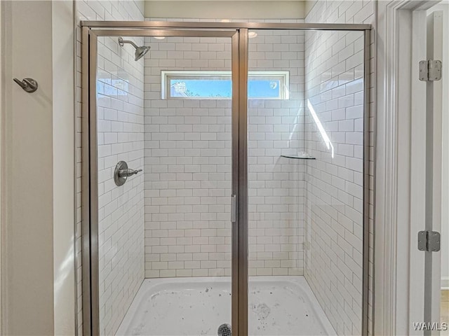 bathroom featuring a shower with door