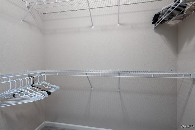 600 13th St E Unit 735, Tuscaloosa, AL 35401 - view of walk in closet