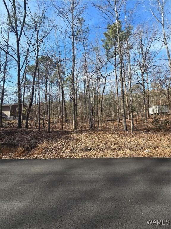 000 Woodland Dr, Mccalla AL, 35111 land for sale