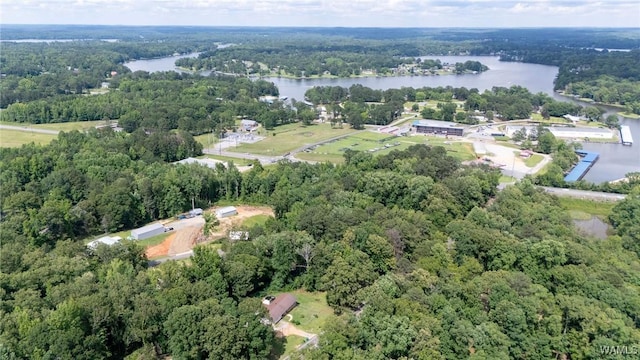 12515 Bone Camp Rd, Northport, AL 35475 - aerial overview of property's location with a heavily wooded area and a large body of water
