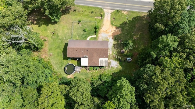 12515 Bone Camp Rd, Northport, AL 35475 - aerial overview of property's location