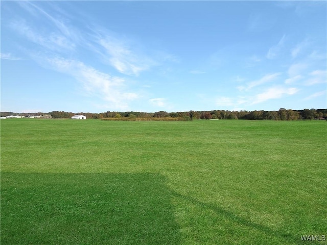 view of yard with a rural view