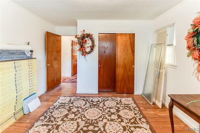 70 Cherry St, Carrollton, AL 35447 - photo 42