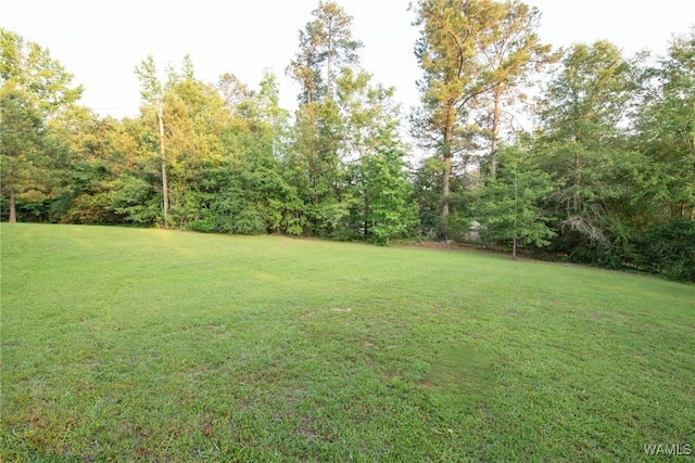 70 Cherry St, Carrollton, AL 35447 - photo 54