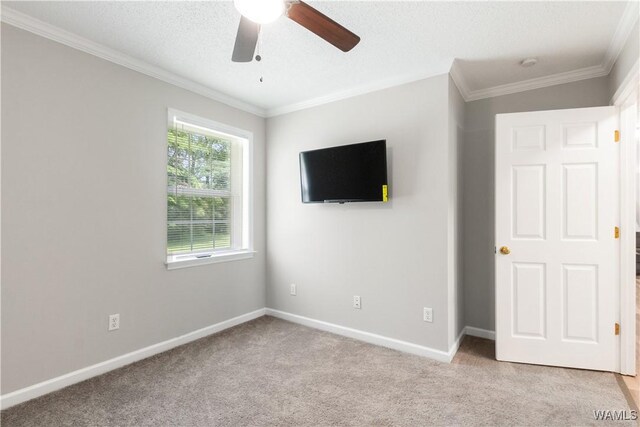 445 11th St SE, Gordo, AL 35466 - photo 15