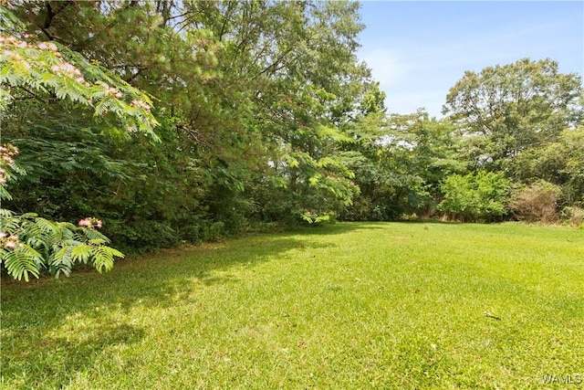 445 11th St SE, Gordo, AL 35466 - photo 21