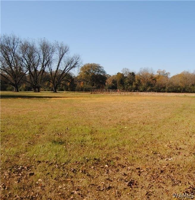 000 5th Ave NE, Fayette, AL 35555 - photo 2
