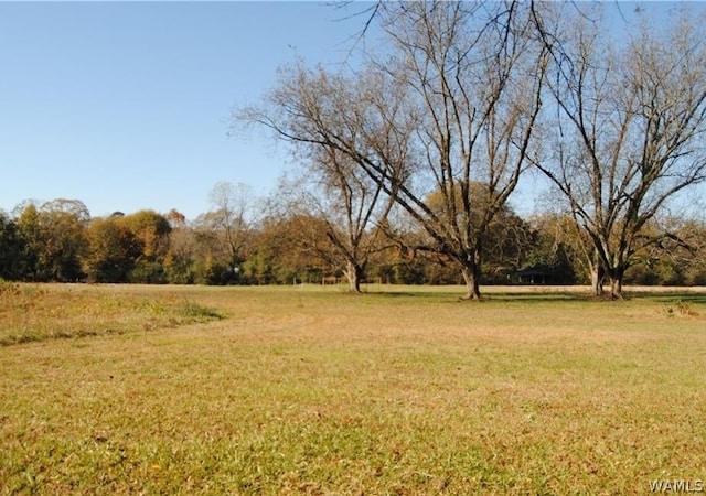 000 5th Ave NE, Fayette AL, 35555 land for sale