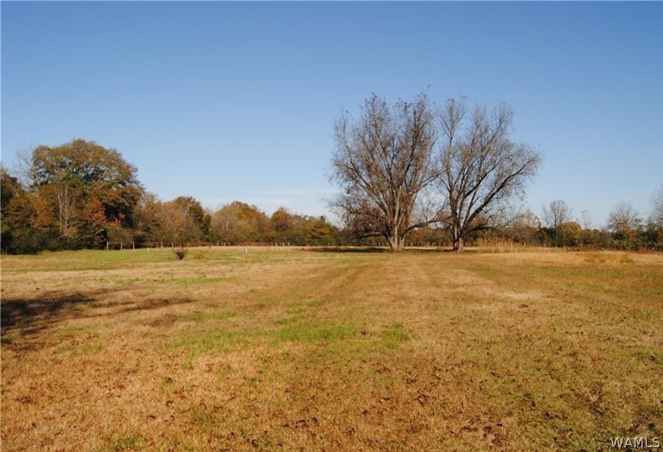 000 5th Ave NE, Fayette, AL 35555 - photo 4