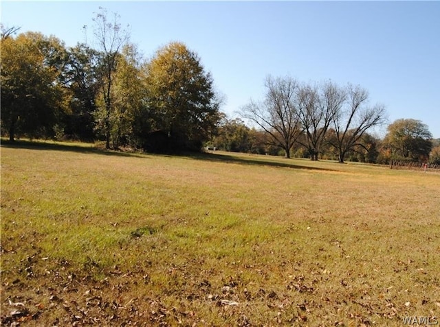 Listing photo 3 for 000 5th Ave NE, Fayette AL 35555