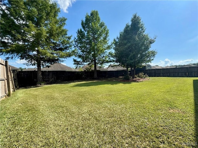 481 Prairie Field Dr, Tuscaloosa, AL 35405 - photo 27