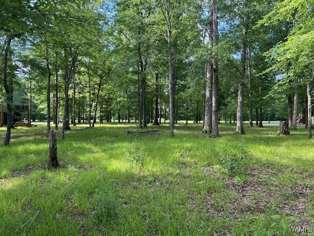 LOT87 Cypress Point Dr, Akron, AL 35441 - photo 9