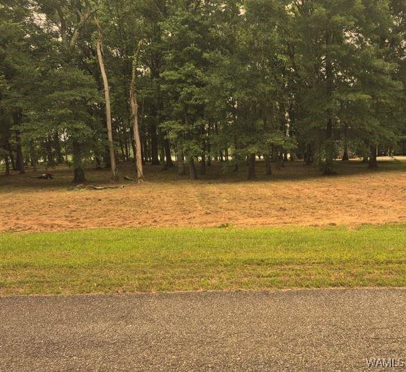 LOT87 Cypress Point Dr, Akron, AL 35441 - photo 1