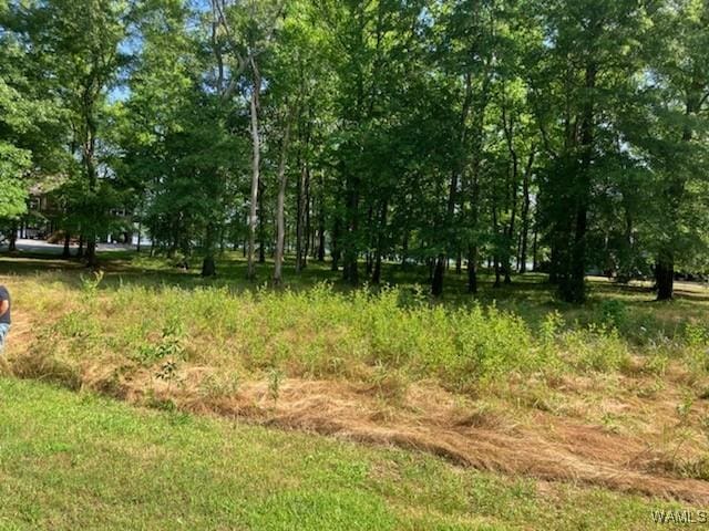 LOT87 Cypress Point Dr, Akron, AL 35441 - photo 3