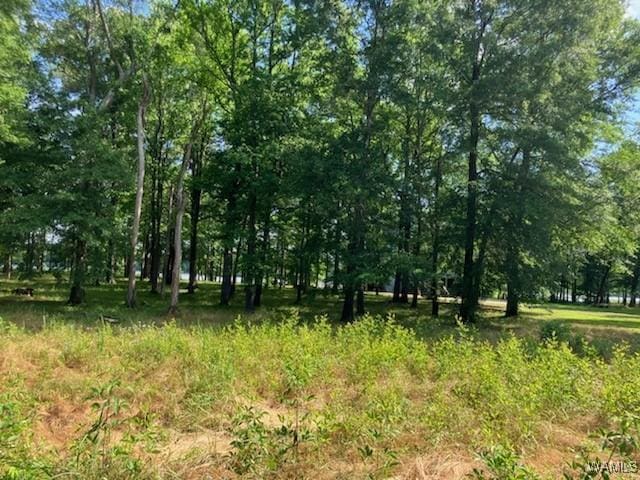LOT87 Cypress Point Dr, Akron, AL 35441 - photo 4