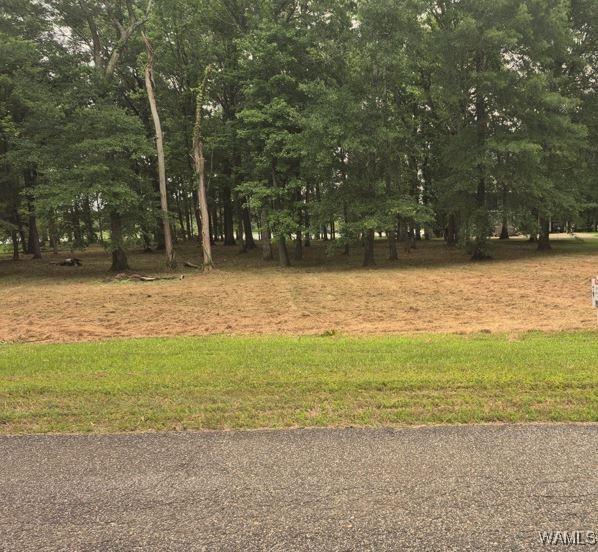 LOT87 Cypress Point Dr, Akron, AL 35441 - photo 2