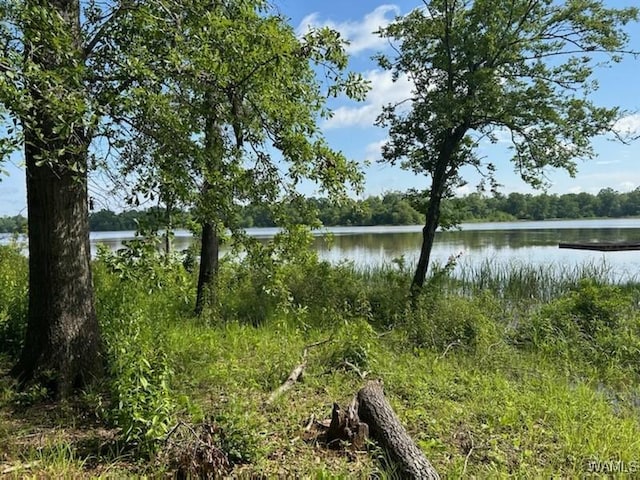 LOT87 Cypress Point Dr, Akron, AL 35441 - photo 6