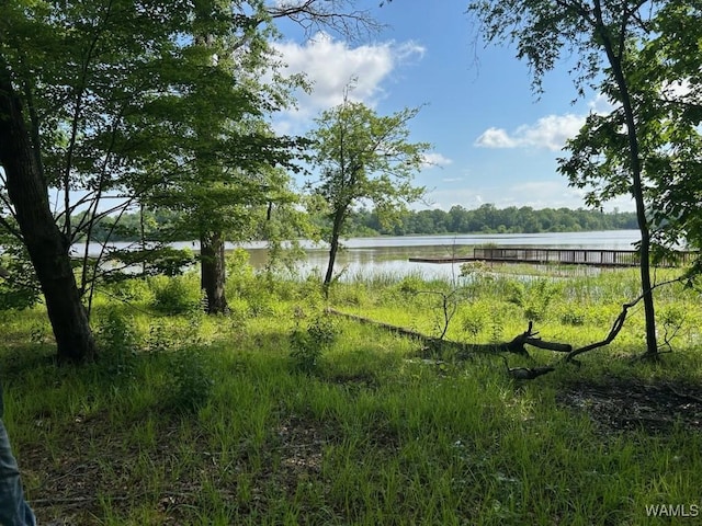 LOT87 Cypress Point Dr, Akron, AL 35441 - photo 5