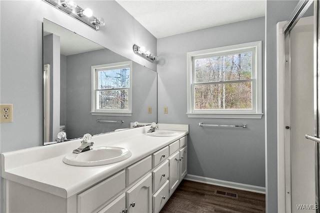 bathroom featuring plenty of natural light, visible vents, and a sink