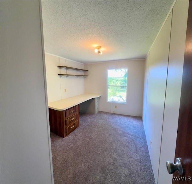 4247 W Ashby Rd, Brierfield, AL 35035 - unfurnished office featuring built in study area, a textured ceiling, carpet flooring, and ornamental molding