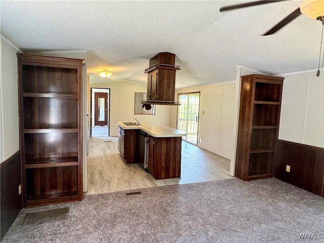 4247 W Ashby Rd, Brierfield, AL 35035 - kitchen with dark brown cabinets, ceiling fan, vaulted ceiling, a textured ceiling, and light carpet