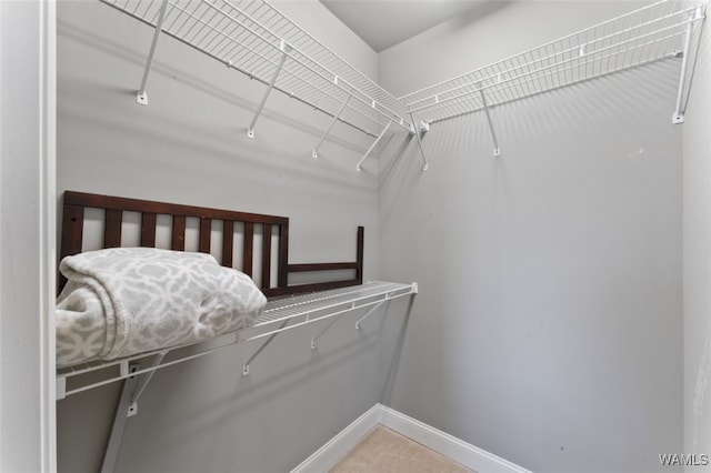 20892 Sharon Dr, Lake View, AL 35111 - view of spacious closet