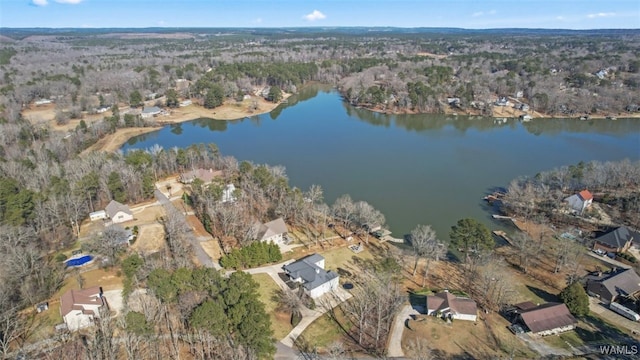 20892 Sharon Dr, Lake View, AL 35111 - drone / aerial view featuring a water view