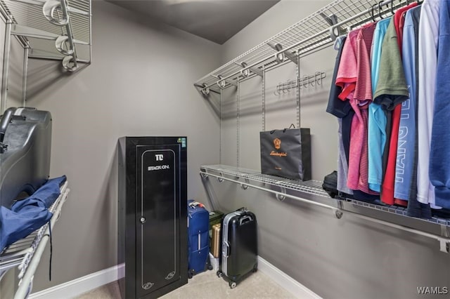 20892 Sharon Dr, Lake View, AL 35111 - view of spacious closet