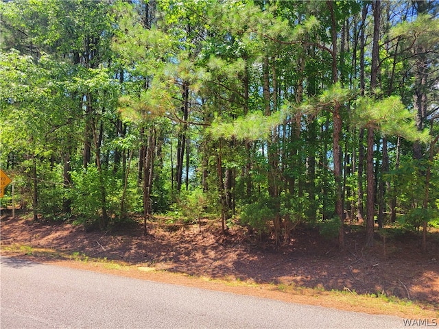 15 Freemans Bend Rd, Northport, AL 35475 - photo 6