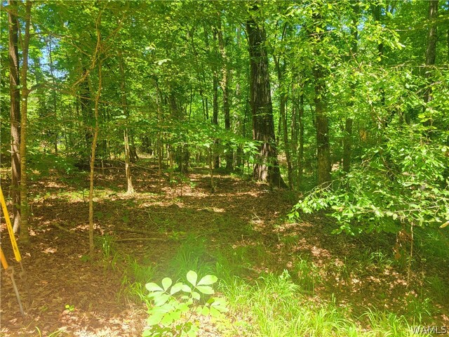 15 Freemans Bend Rd, Northport, AL 35475 - photo 4