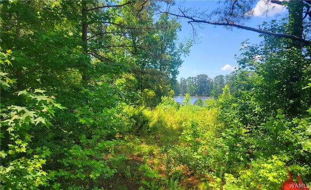 15 Freemans Bend Rd, Northport, AL 35475 - photo 5