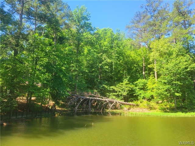 15 Freemans Bend Rd, Northport, AL 35475 - photo 1