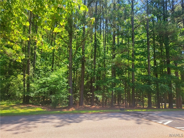 15 Freemans Bend Rd, Northport, AL 35475 - photo 3