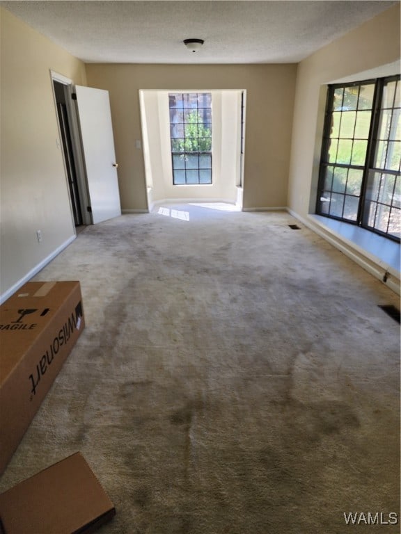 unfurnished room with carpet floors, a textured ceiling, and a wealth of natural light