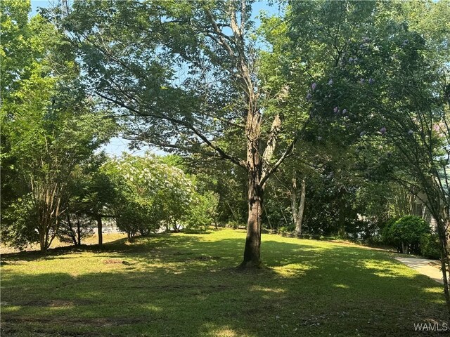 14141 Boswell Rd, Coker, AL 35452 - photo 3
