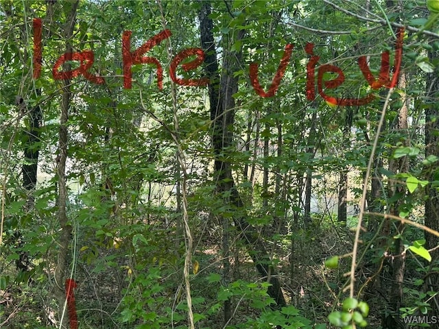 14141 Boswell Rd, Coker, AL 35452 - photo 36