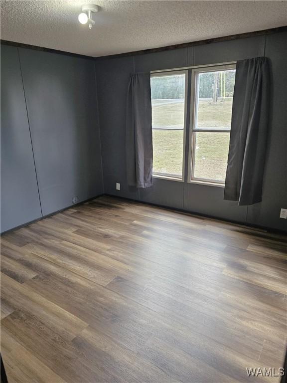 empty room with hardwood / wood-style flooring, a textured ceiling, and a wealth of natural light