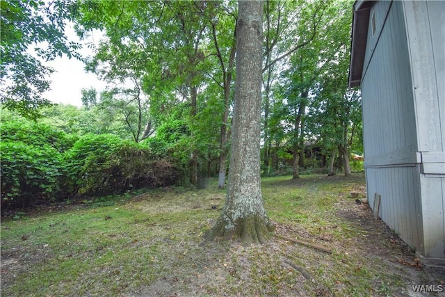 3425 Loop Rd, Tuscaloosa, AL 35404 - photo 22