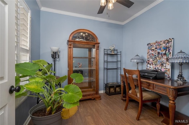 office with hardwood / wood-style flooring, ceiling fan, and ornamental molding